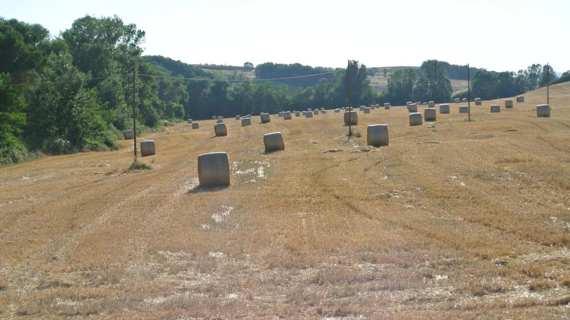 Appartamento Le Logge Di Caprera Siena
