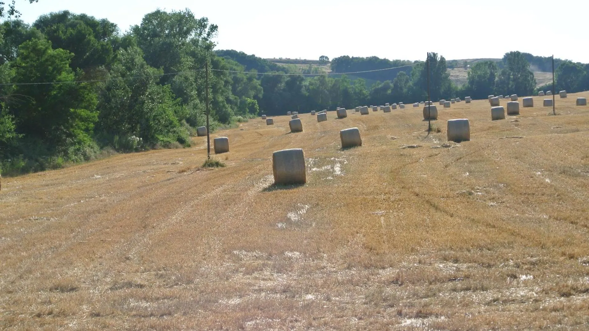 Le Logge Di Caprera Apartment Siena
