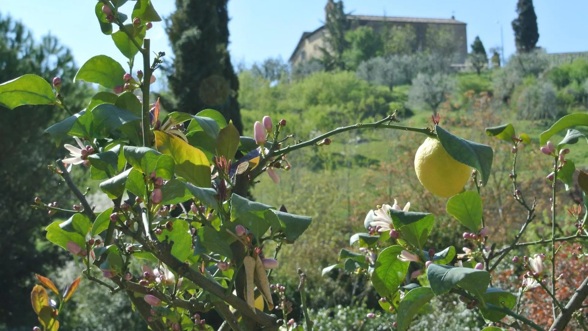 Le Logge Di Caprera Apartment Siena 0*,